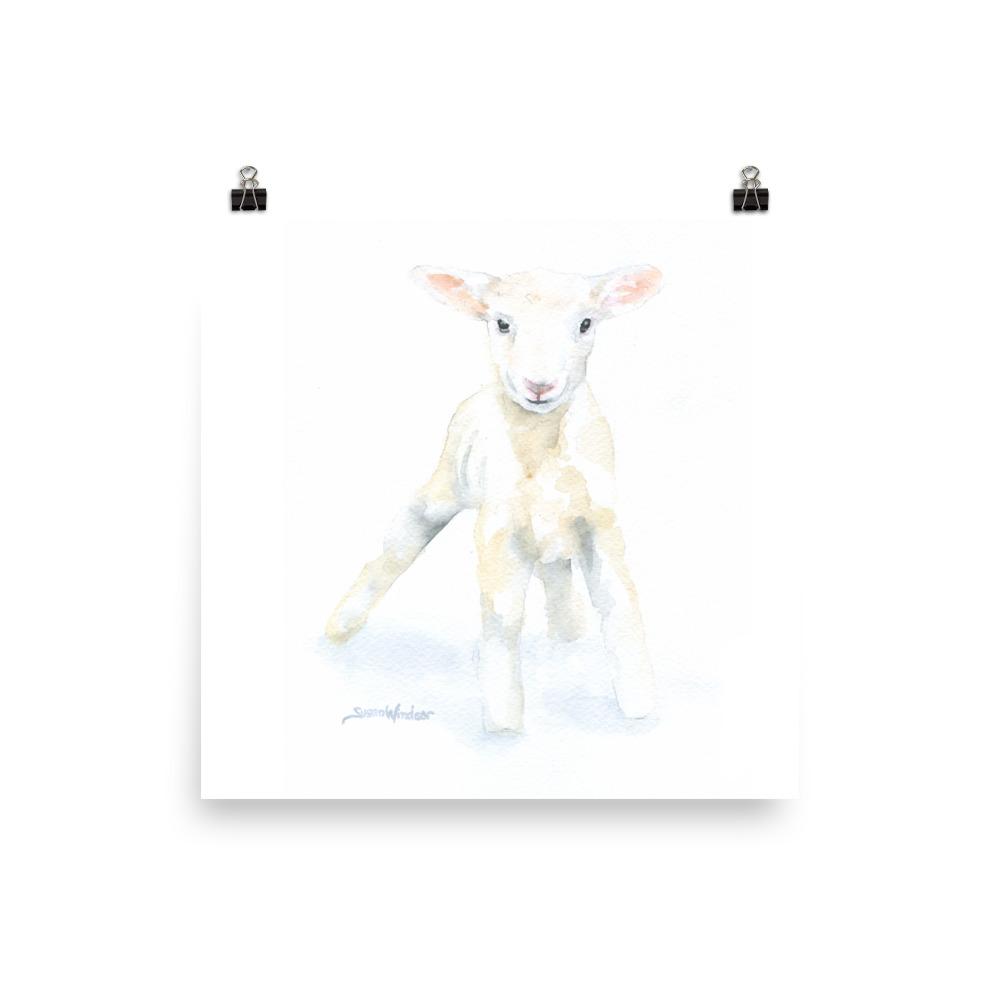 1000x1000 Lamb Watercolor Susan Windsor - Watercolor Lamb