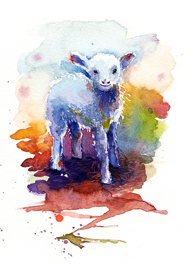 610x843 Patra Tawatpol - Watercolor Lamb