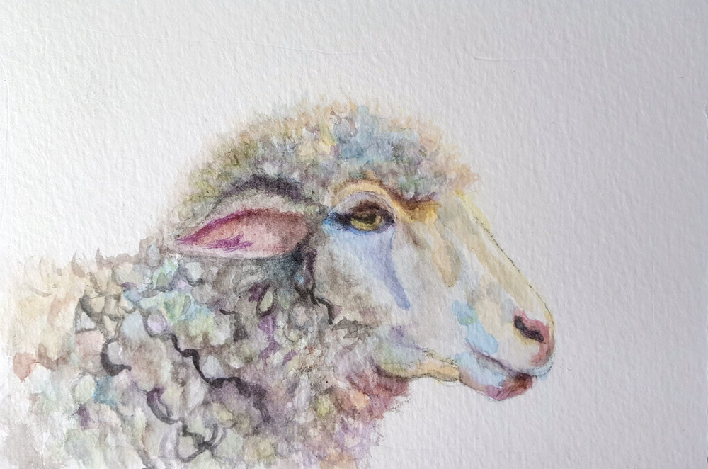 1000x662 Prints Available (Original Sold) Lamb - Watercolor Lamb