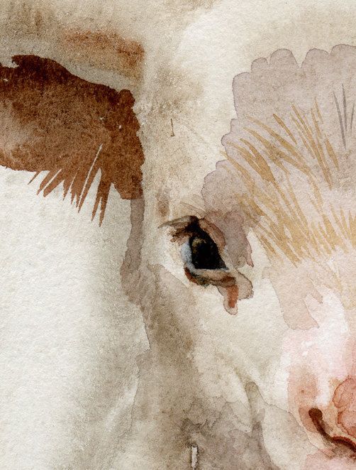 502x662 Sheep Lamb Watercolor Paintings - Watercolor Lamb