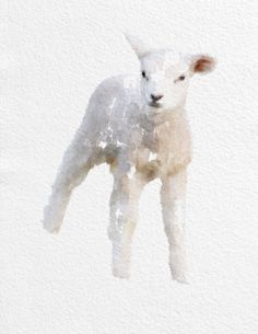 236x305 443 Best Art Watercolor Creatures Images Drawings - Watercolor Lamb