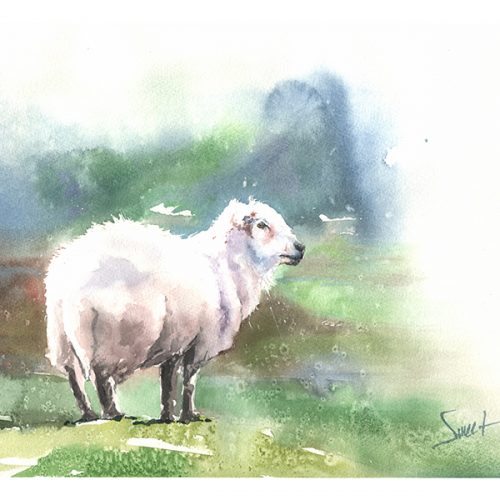 500x500 Lamb Watercolor Archives Watercolor Animal Paintings - Watercolor Lamb