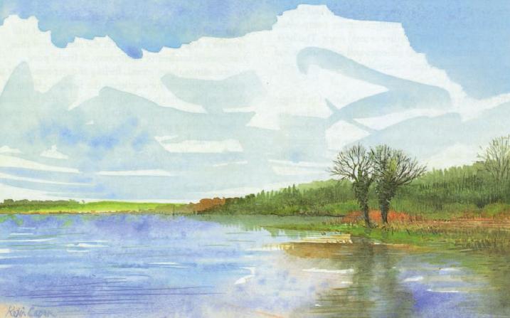 717x447 How To Choose And Use Watercolour Paint For Beginners - Watercolor Landscape Paintings For Beginners