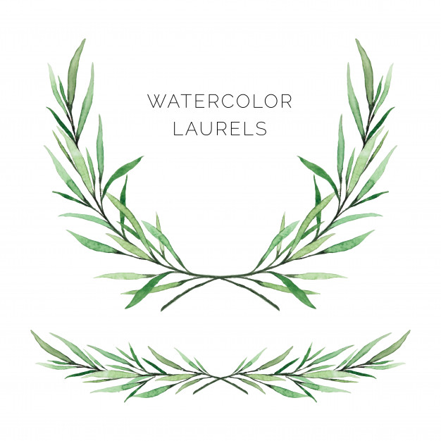 626x626 Hand Painted Watercolor Laurels Vector Premium Download - Watercolor Laurel