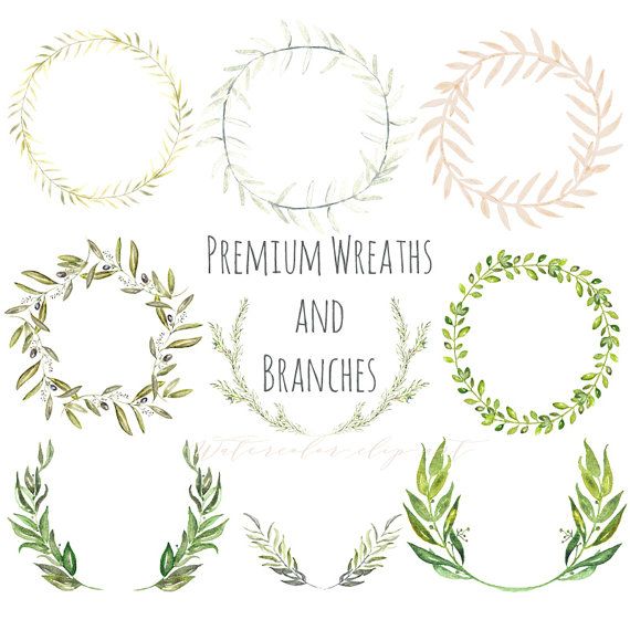 570x570 Laurel Wreath Premium Wreaths And Branches Watercolor Clip Art - Watercolor Laurel