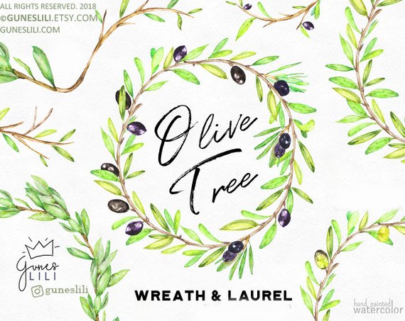 570x453 Leaves Wreath Clipart Watercolor Laurel Clipart Olive Etsy - Watercolor Laurel