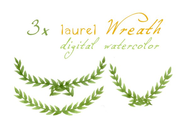 570x418 Digital Clipart Watercolor Laurels Watercolor Laurel Wreath Etsy - Watercolor Laurel