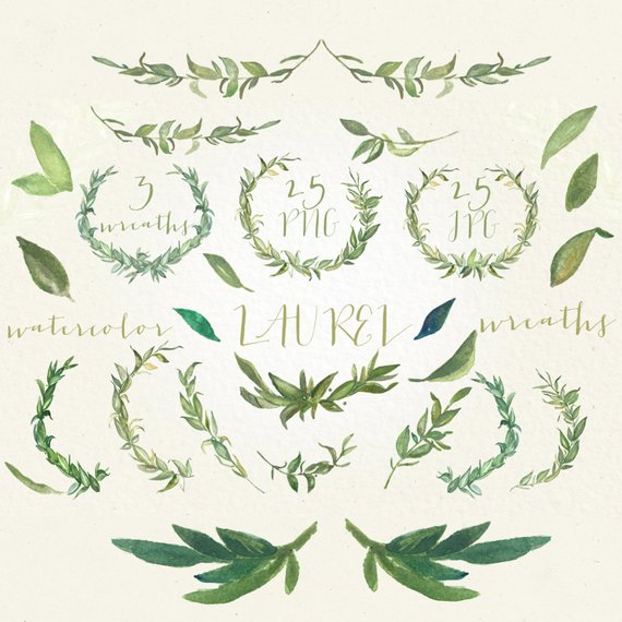 570x570 Laurel Wreaths And Foliages. Watercolor Clip Art Hand Drawn. Etsy - Watercolor Laurel Wreath