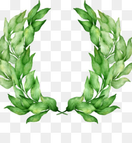 260x280 Free Download Laurel Wreath Bay Laurel Watercolor Painting Drawing - Watercolor Laurel Wreath