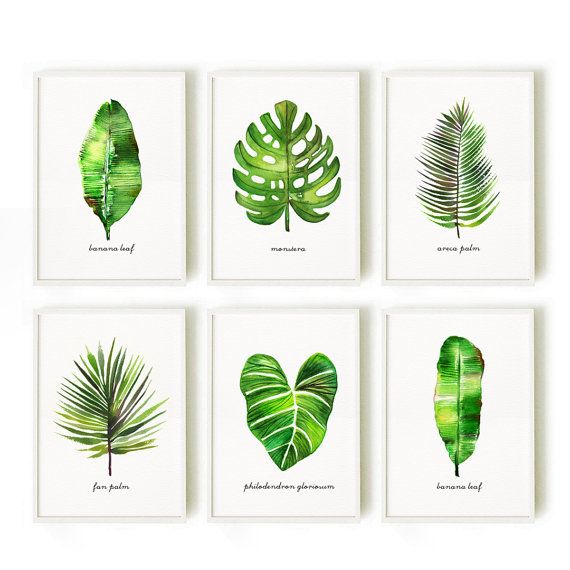 570x570 Monstera Leaf Print Tropical Print Banana Leaf Watercolor Painting - Watercolor Leaf Art