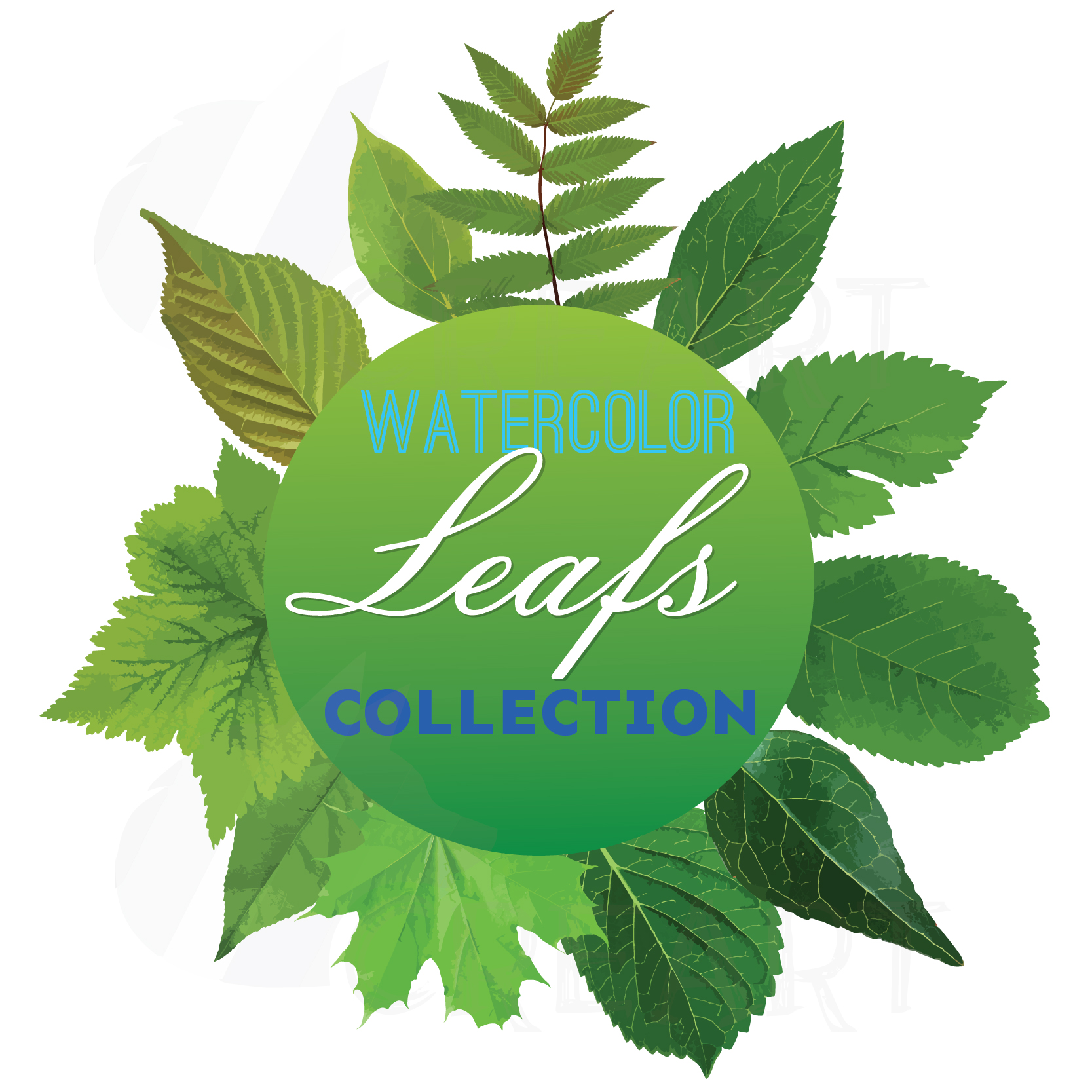 1667x1667 Watercolor Leaf Clip Art Pack. Eps, Png, Jpg, Pdf, Svg, Vector - Watercolor Leaf Art