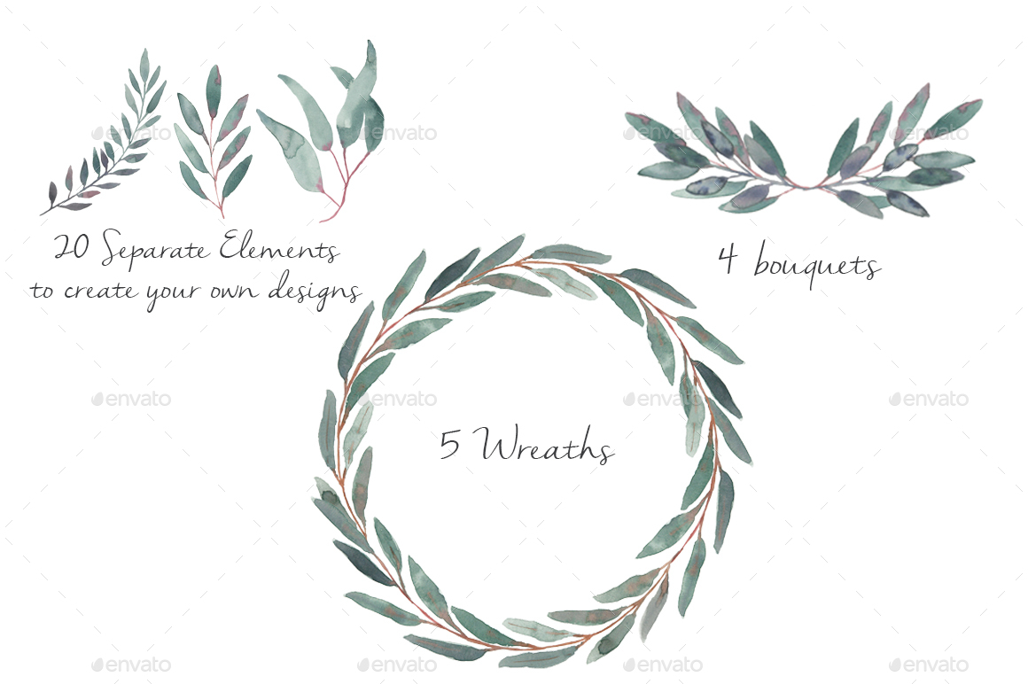1160x772 Elegant Watercolor Eucalyptus Leaves Clip Art Hand Made By - Watercolor Leaf Art