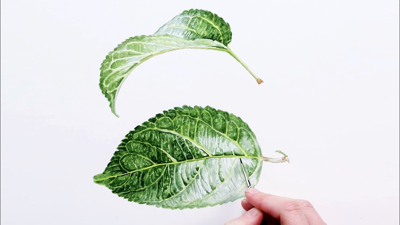 1280x720 How To Paint Realistic Luscious Leaves In Watercolour With Anna - Watercolor Leaf Art