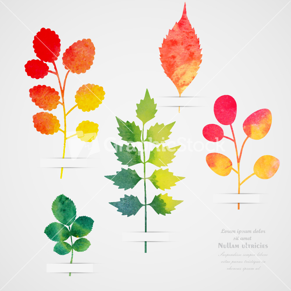 1000x1000 Leaf Vector Art Download (Watercolor) - Watercolor Leaf Art