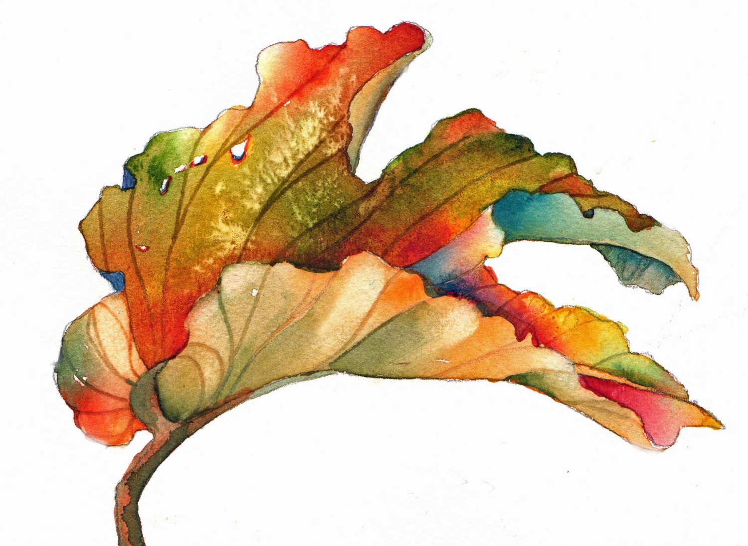 1500x1096 Easy To Paint Autumn Leaf - Watercolor Leaf Painting