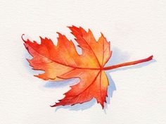 236x176 618 Best Paintings - Watercolor Leaf Painting