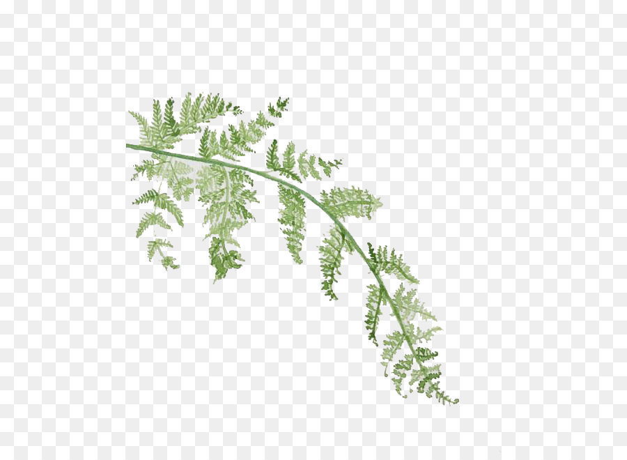 900x660 Leaf Watercolor Painting - Watercolor Leaf Painting