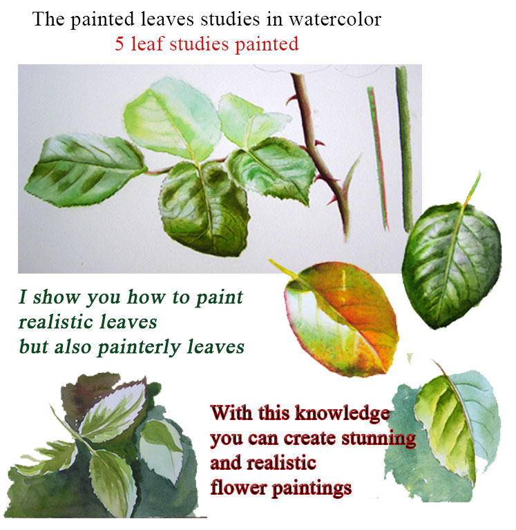 747x767 Painting Leaves In Watercolour - Watercolor Leaf Painting