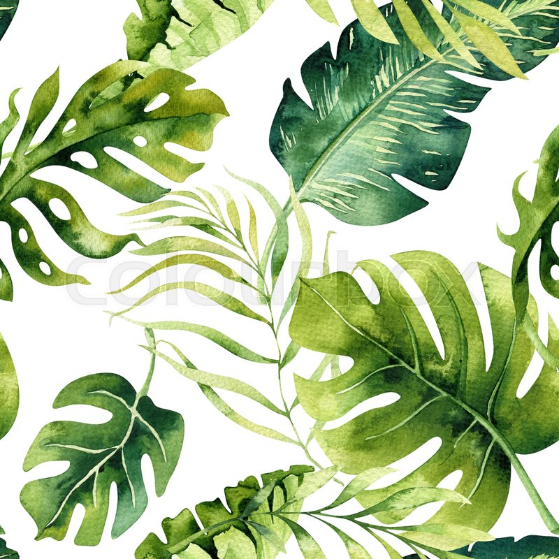 800x800 Seamless Watercolor Pattern Of Tropical Leaves, Dense Jungle. Hand - Watercolor Leaf Painting