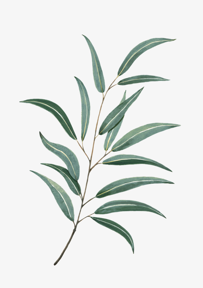 650x920 Watercolor Leaves, Watercolor Clipart, Plant Material, Watercolor - Watercolor Leaf Painting