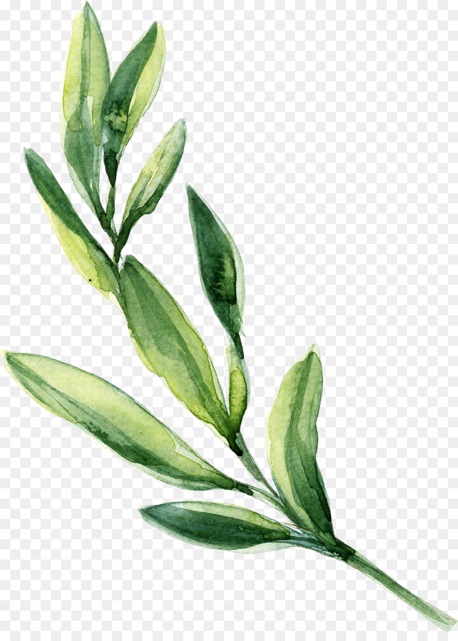 900x1260 Watercolor Painting Leaf - Watercolor Leaf Painting