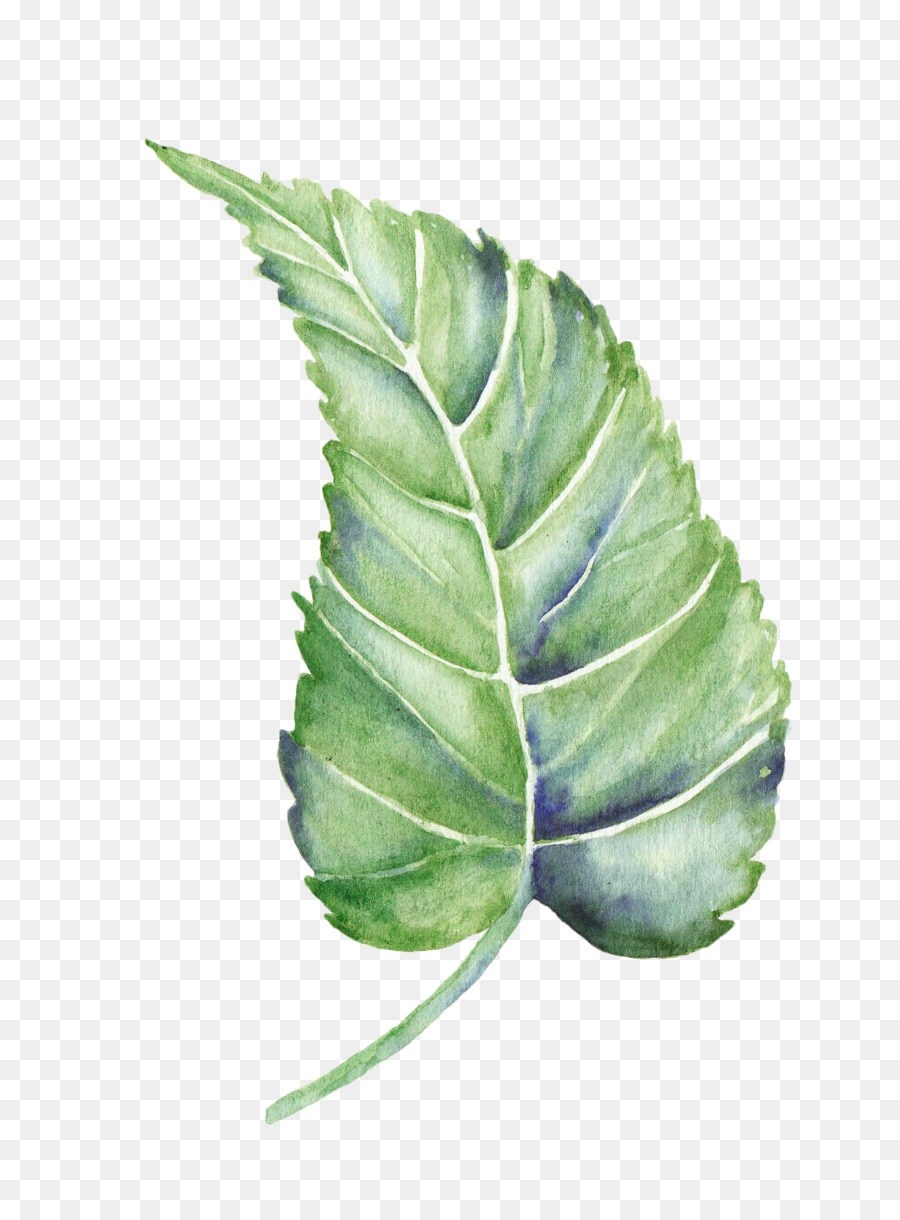 900x1220 Download Leaf Watercolor Painting Shape Plant Leaves - Watercolor Leaf Painting