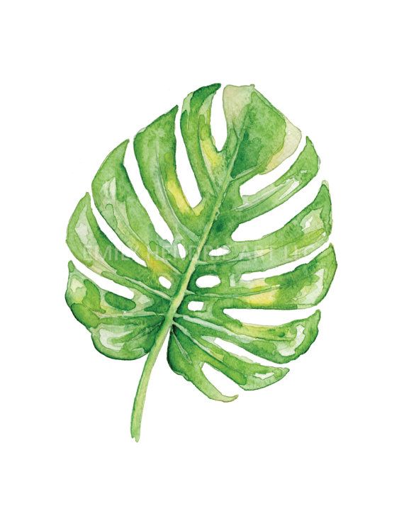 570x738 Split Leaf Philodendron Watercolor Print Tropical Leaf Print - Watercolor Leaf Prints
