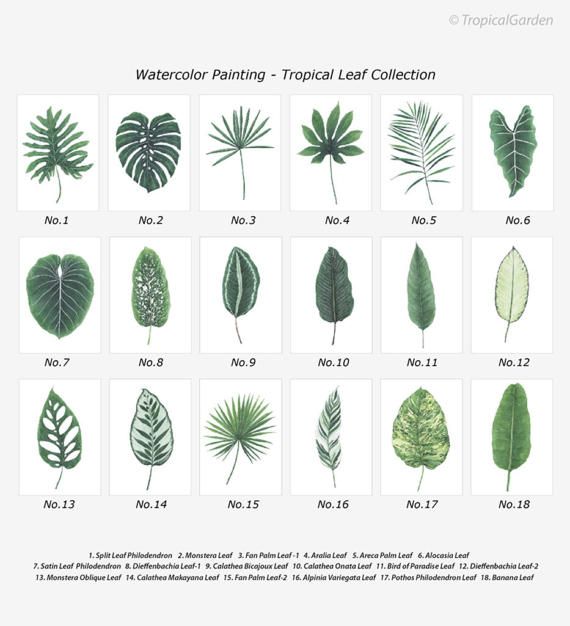 570x626 Tropical Leaf Print Set - Watercolor Leaf Prints