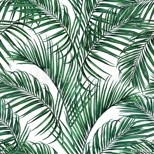 500x500 Watercolor Painting Coconut,palm Leaf,green Leave Seamless Pattern - Watercolor Leaf Prints