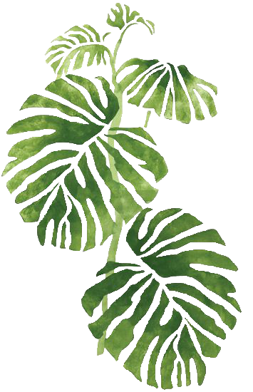 355x550 Palm Leaf Print Wallpapers Backgrounds Patterns - Watercolor Leaf Prints