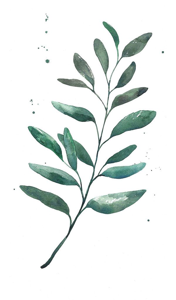 600x1021 Watercolor - Watercolor Leaves