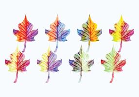 286x200 Watercolor Leaves Free Vector Art - Watercolor Leaves