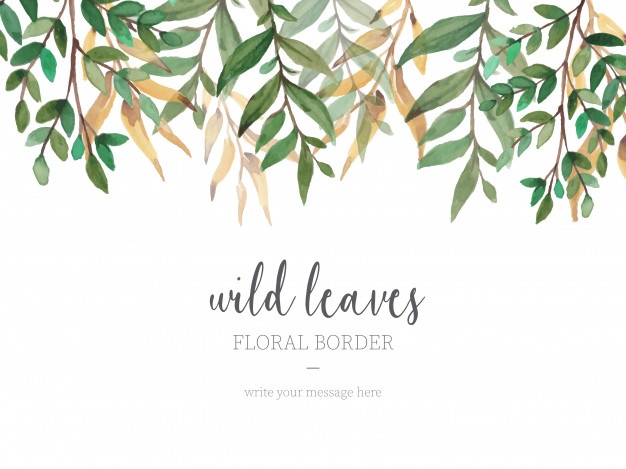 626x469 Watercolor Leaves Vectors, Photos And Psd Files Free Download - Watercolor Leaves