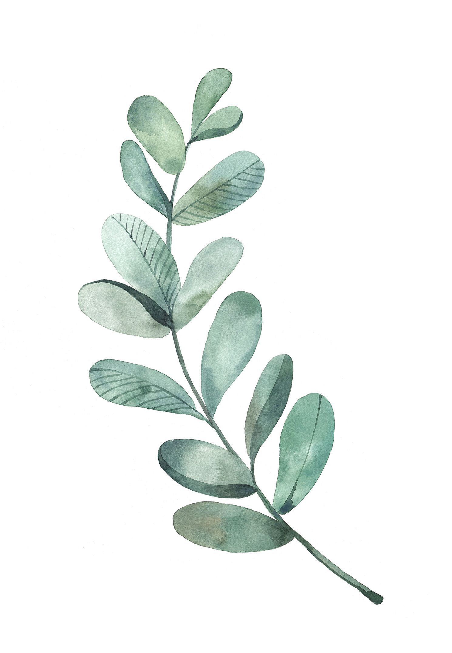 1490x2151 Watercolor Leaf Ava In 2018 Watercolor Leaves - Watercolor Leaves