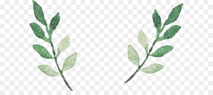 900x400 Watercolor Leaves Vector Png Download - Watercolor Leaves