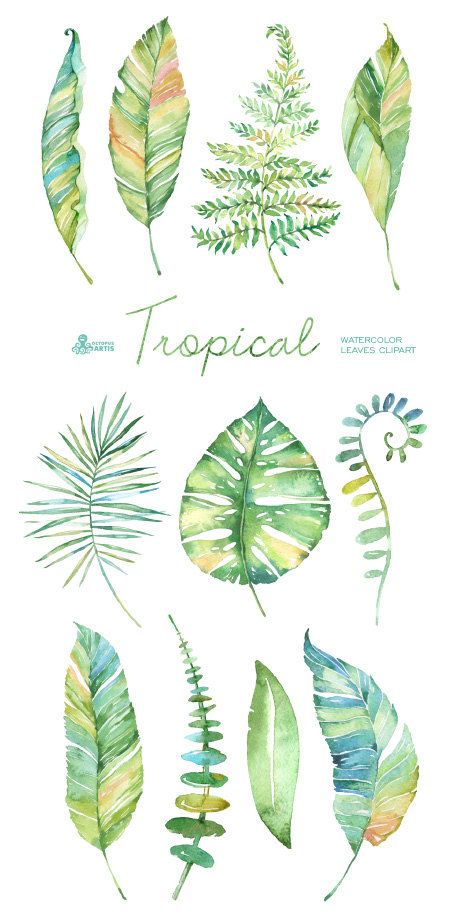 450x919 Tropical Watercolor Leaves. Handpainted Clipart, Foliage, Grass - Watercolor Leaves Clipart