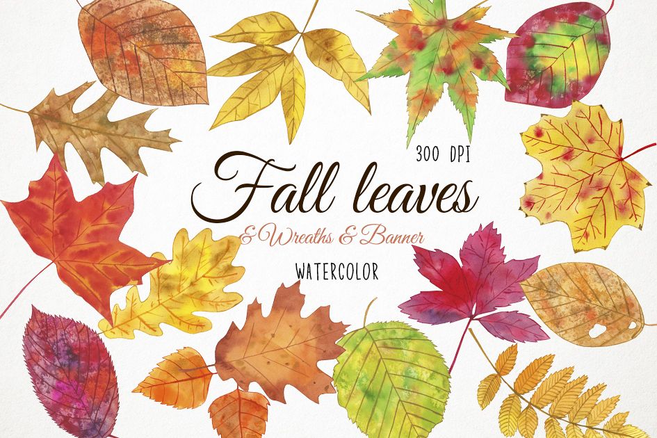 945x630 Watercolor Fall Leaves Clipart, Fall Leaves Clip Art - Watercolor Leaves Clipart