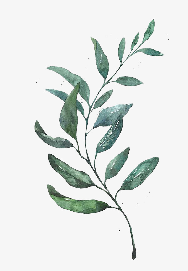 600x865 Watercolor Leaves, Watercolor Clipart, Leaf, Green Leaf Png Image - Watercolor Leaves Clipart