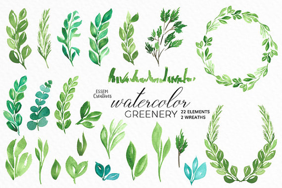 570x379 Watercolor Leaves Clipart, Leaf Wreath, Green Branch, Eucalyptus - Watercolor Leaves Clipart