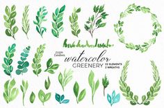 236x156 Watercolor Leaves Clipart, Modern Leaf Wreath, Green Branch - Watercolor Leaves Clipart