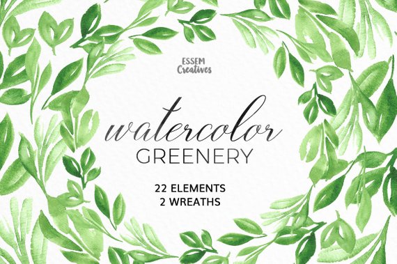 570x379 Watercolor Leaves Clipart Leaf Wreath Green Branch Etsy - Watercolor Leaves Clipart