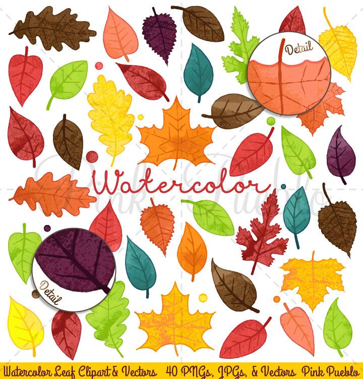 720x753 Watercolor Leaves Clipart Amp Vectors Pinkpueblo - Watercolor Leaves Clipart