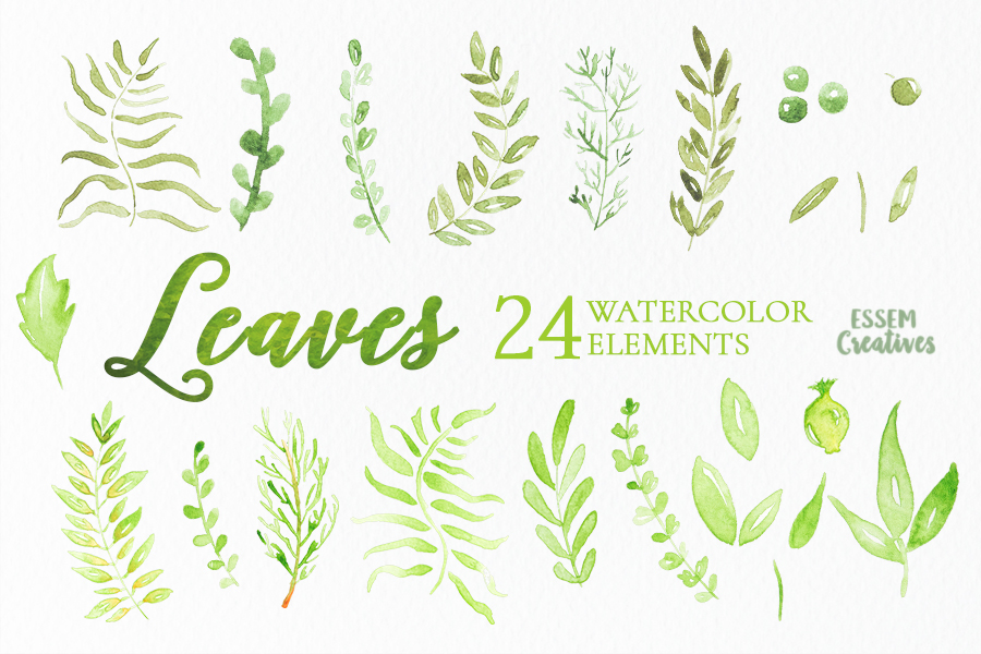 900x600 Watercolor Leaves And Branches Clipart Essem Creatives - Watercolor Leaves Clipart