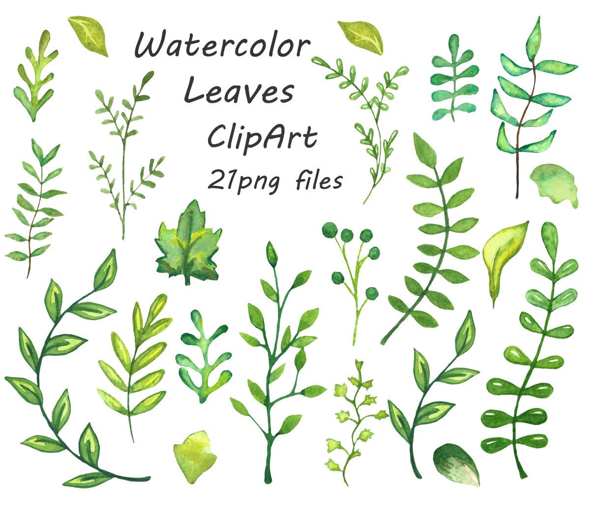 1200x1029 Watercolor Leaves Clipart, Watercolour Clip Art, Hand Painted - Watercolor Leaves Clipart