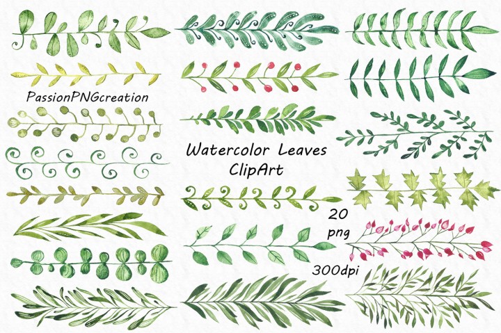 720x479 Watercolor Leaves Clipart By Passionpngcreation - Watercolor Leaves Clipart