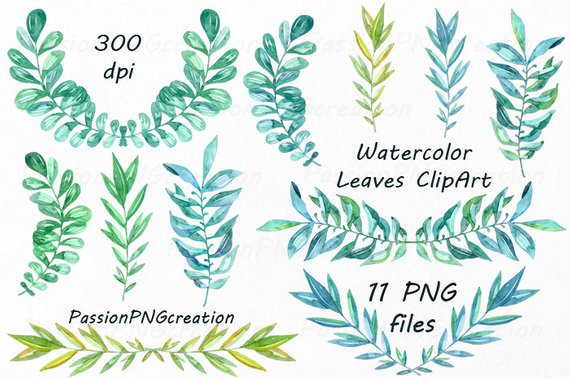 570x379 Watercolor Leaves Clipart Watercolour Clip Art Hand Painted Etsy - Watercolor Leaves Clipart