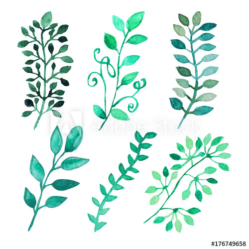 500x500 Watercolor Leaves Clipart - Watercolor Leaves Clipart