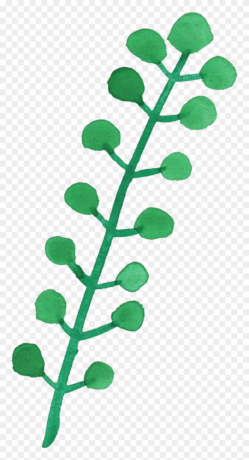 840x1547 Free Download - Watercolor Leaves Clipart