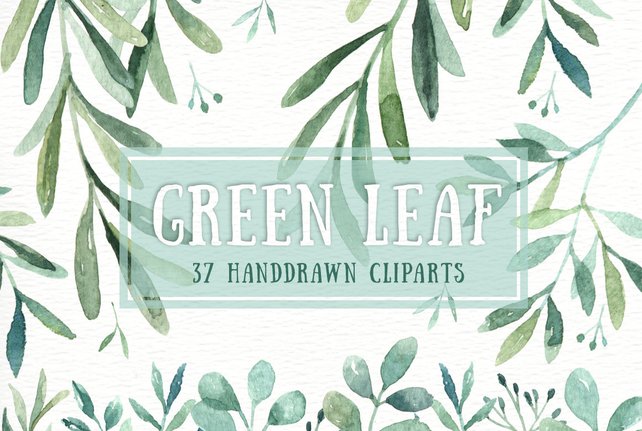 642x431 Green Leaf Watercolor Clipart Watercolor Flower Watercolour Etsy - Watercolor Leaves Clipart