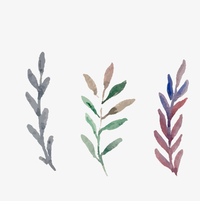650x651 Vector Watercolor Leaves, Watercolor Vector, Vector Hand Painted - Watercolor Leaves Vector